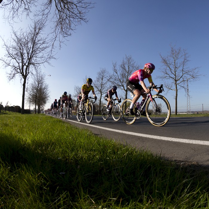 Gent - Wevelgem Vrouwen 2022 - The riders push towards the conclusion of the race past trees that are not yet in bud