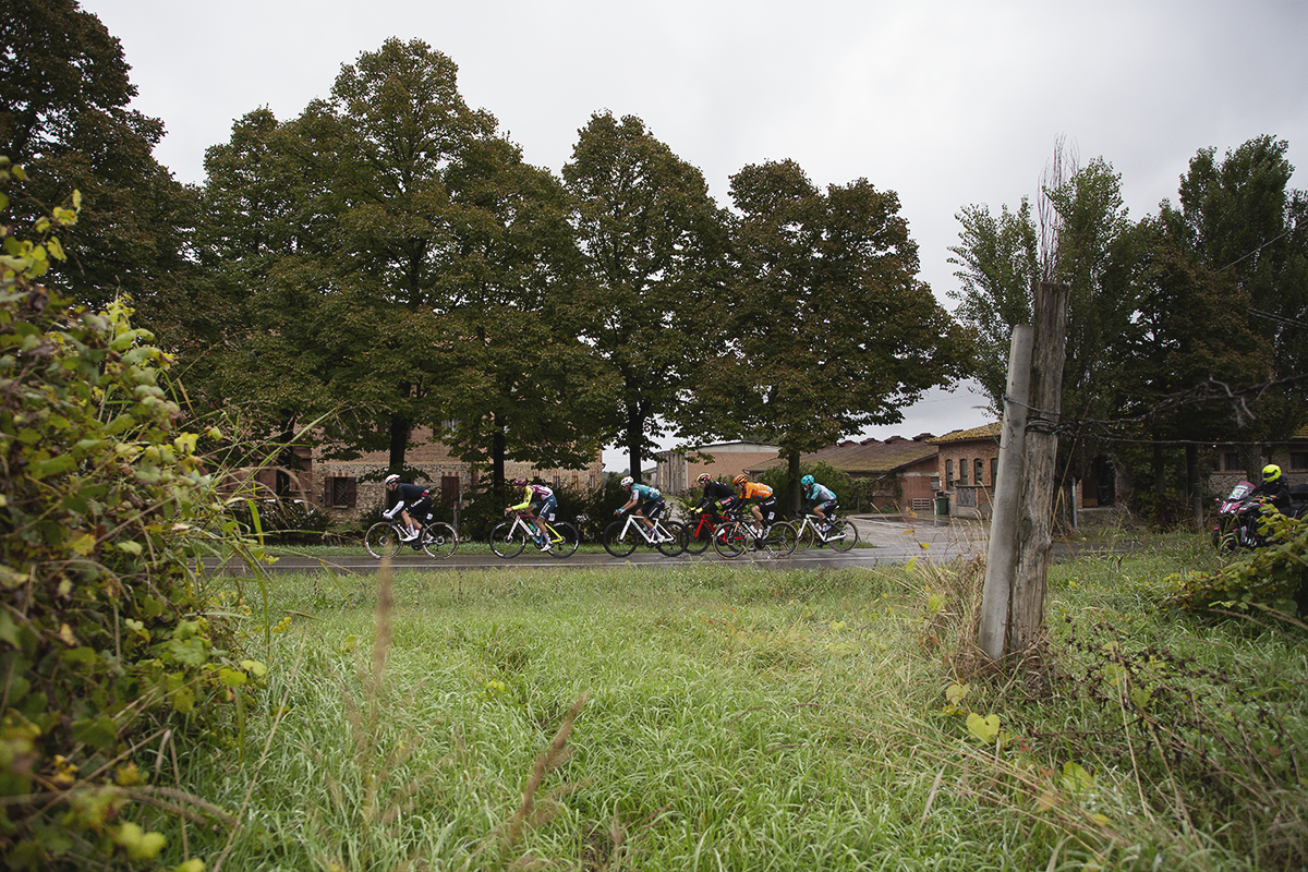 Giro dell’Emilia 2024 - Riders viewed from between the grape vines against farm buildings in Castelvetro