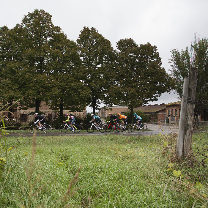 Giro dell’Emilia 2024 - Riders viewed from between the grape vines against farm buildings in Castelvetro