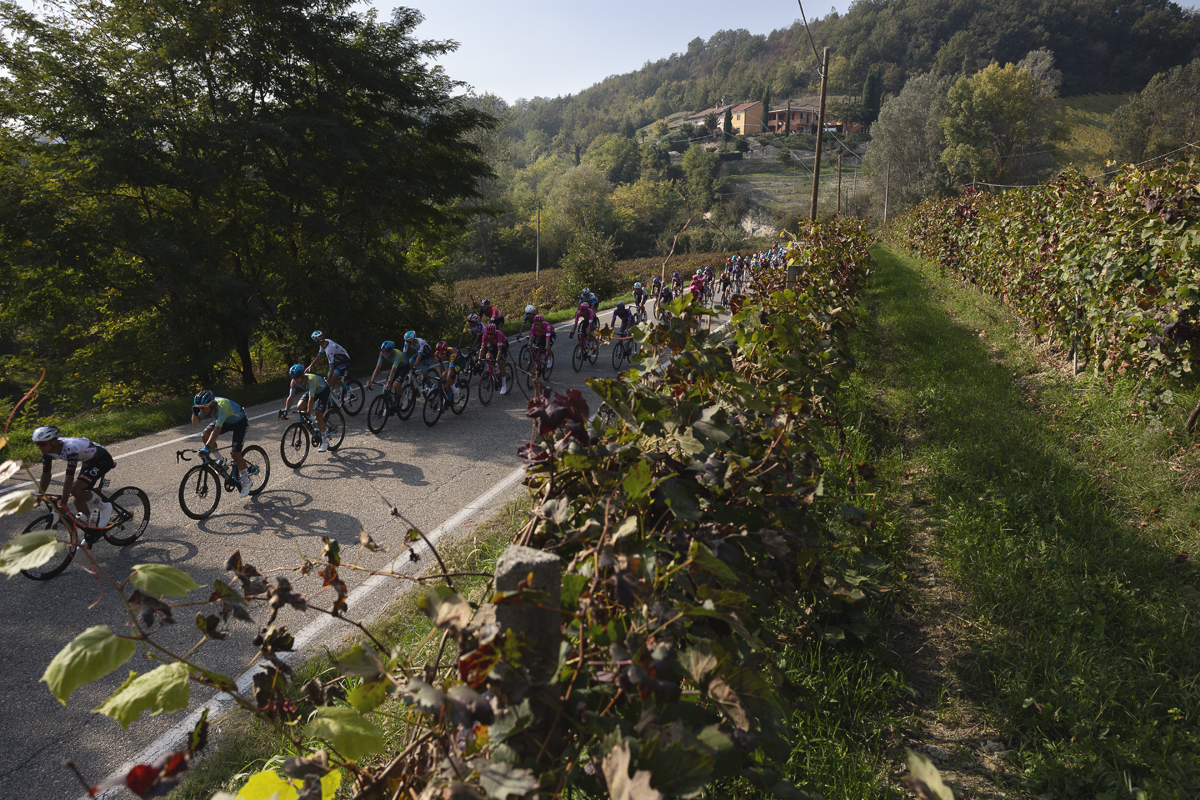 Gran Piemonte 2025 - The peloton is seen passing by vines with a terracotta coloured villa in the background