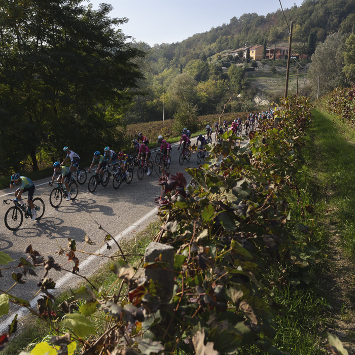 Gran Piemonte 2025 - The peloton is seen passing by vines with a terracotta coloured villa in the background