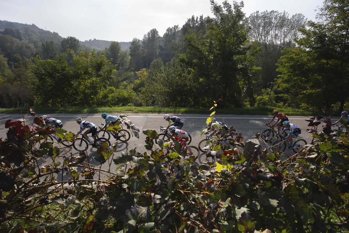 Gran Piemonte 2025 - Vines are seen in the foreground as the race passes on a road beneath in Castel Boglione