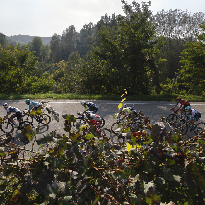 Gran Piemonte 2025 - Vines are seen in the foreground as the race passes on a road beneath in Castel Boglione