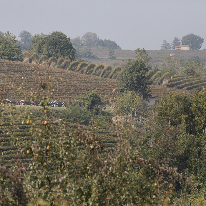 Gran Piemonte 2025 - A group of riders pass through vineyards in La Morra