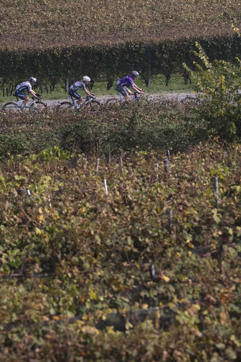 Gran Piemonte 2025 - Riders pass through the vineyards near La Morra