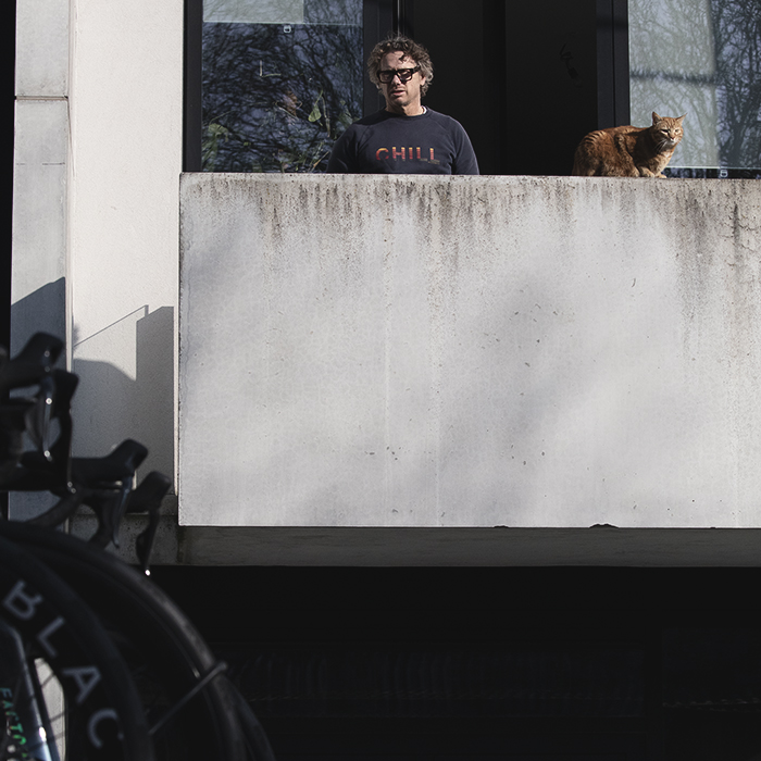 Kuurne Brussel Kuurne 2025 - A cat and its human survey the race cars from their balcony as they arrive in Kortrijk