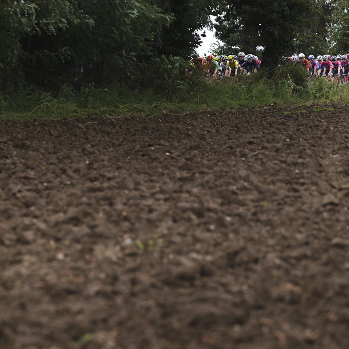 Classic Lorient Agglomération - Ceratizit 2025 - Ploughed fields to the fore, the peloton is framed by trees