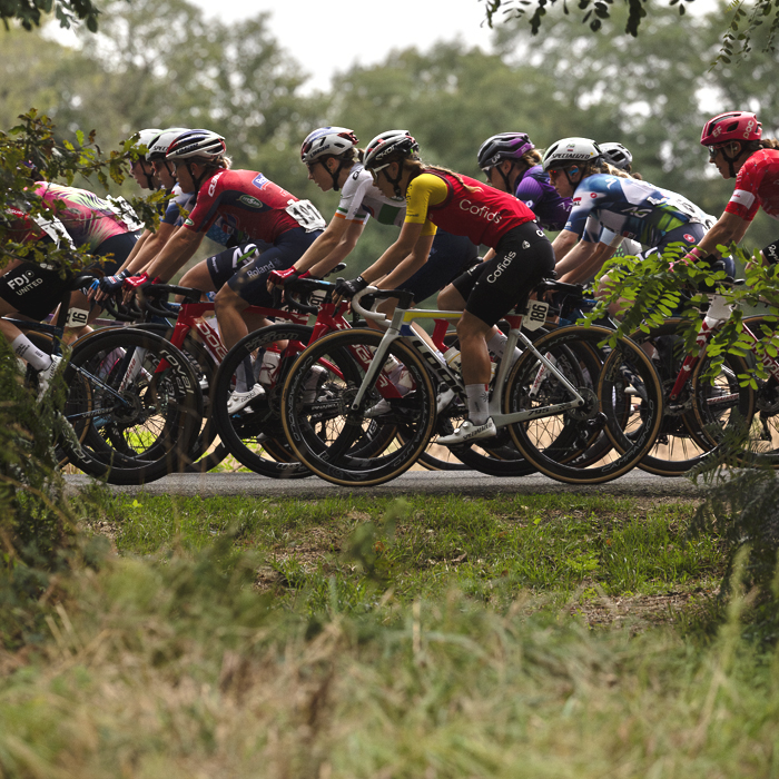 Classic Lorient Agglomération - Ceratizit 2025 - Riders are framed by a gap in a hedge in Brambanen