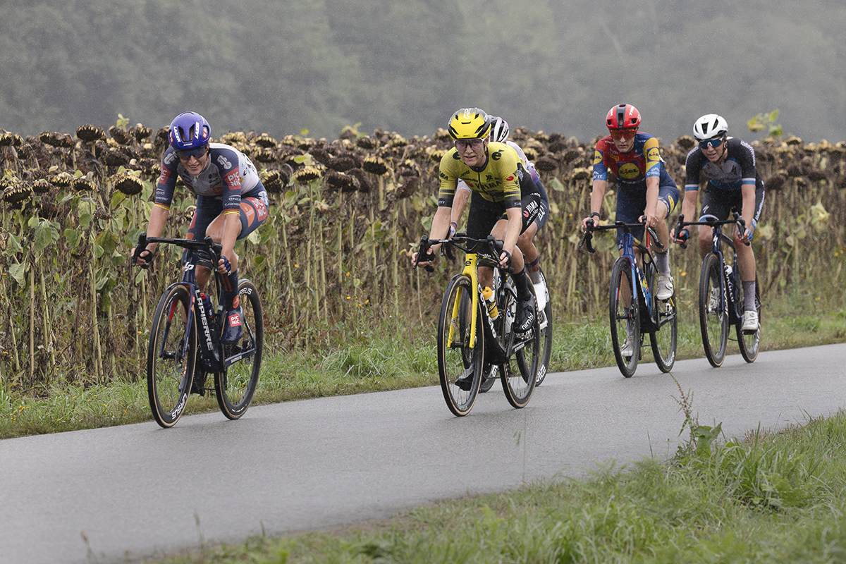Classic Lorient Agglomération - Ceratizit 2025 - Riders cycle past a field of dead sunflowers