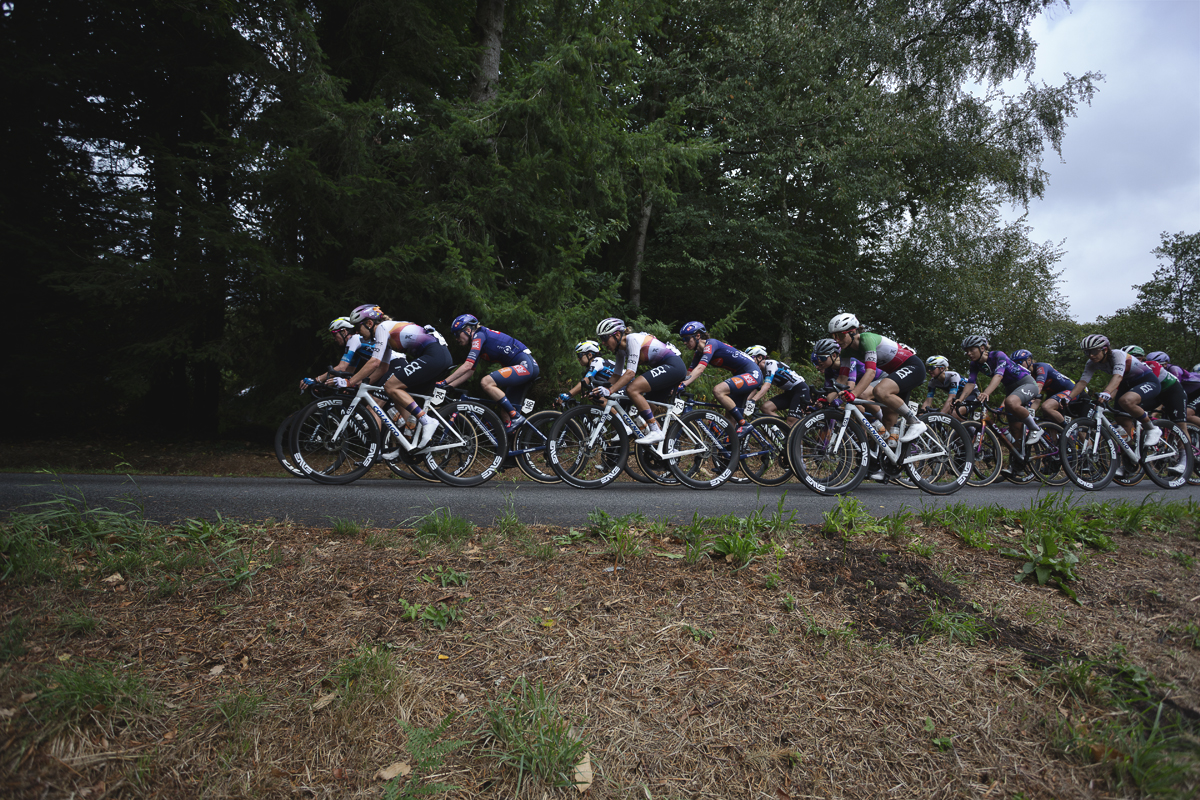 Classic Lorient Agglomération - Ceratizit 2025 - Riders take a corner on a wooded road during the race