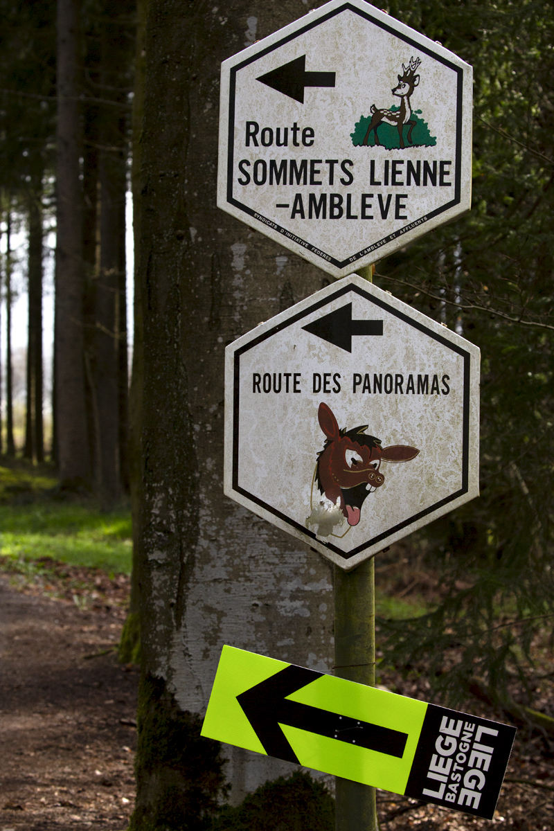 Liège-Bastogne-Liège 2023 - A route sign for the race under a sign pointing to a scenic route on the Côte de Wanne