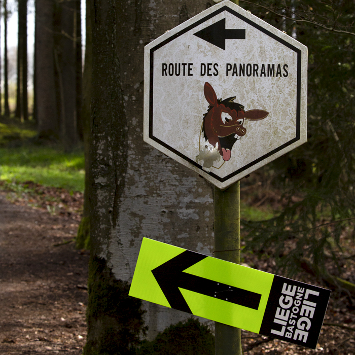 Liège-Bastogne-Liège 2023 - A route sign for the race under a sign pointing to a scenic route on the Côte de Wanne