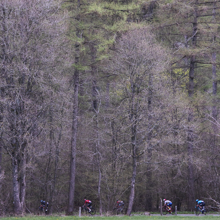 Liège-Bastogne-Liège 2023 - A group of riders pass through woodland