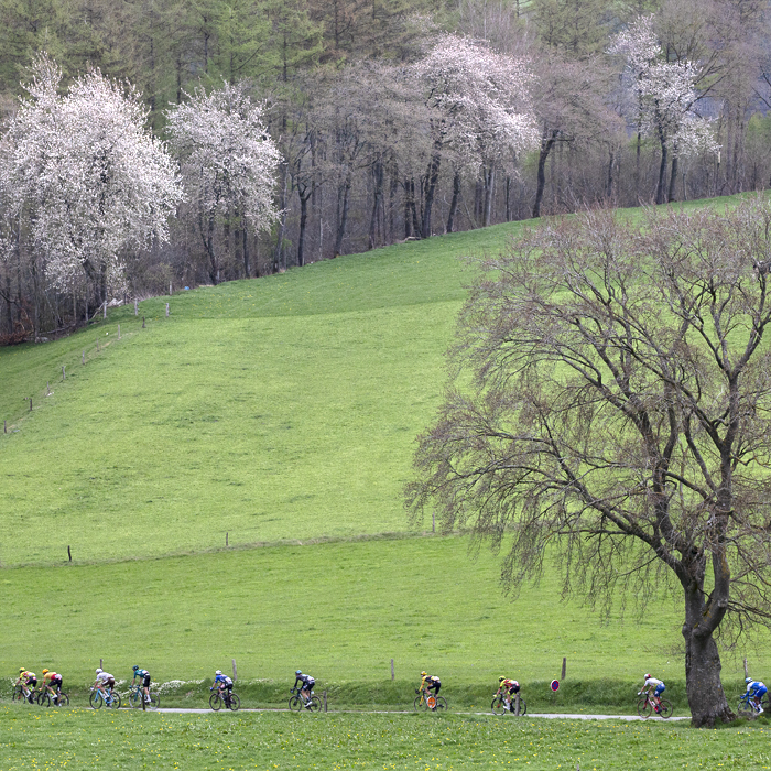 Liège-Bastogne-Liège 2023 - A small group of riders pass through the countryside with blossom laden trees in the background