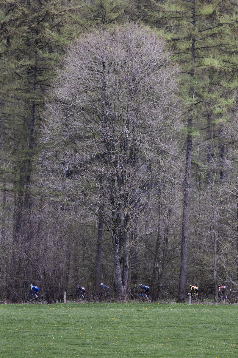 Liège-Bastogne-Liège 2023 - A group of riders pass by mature trees