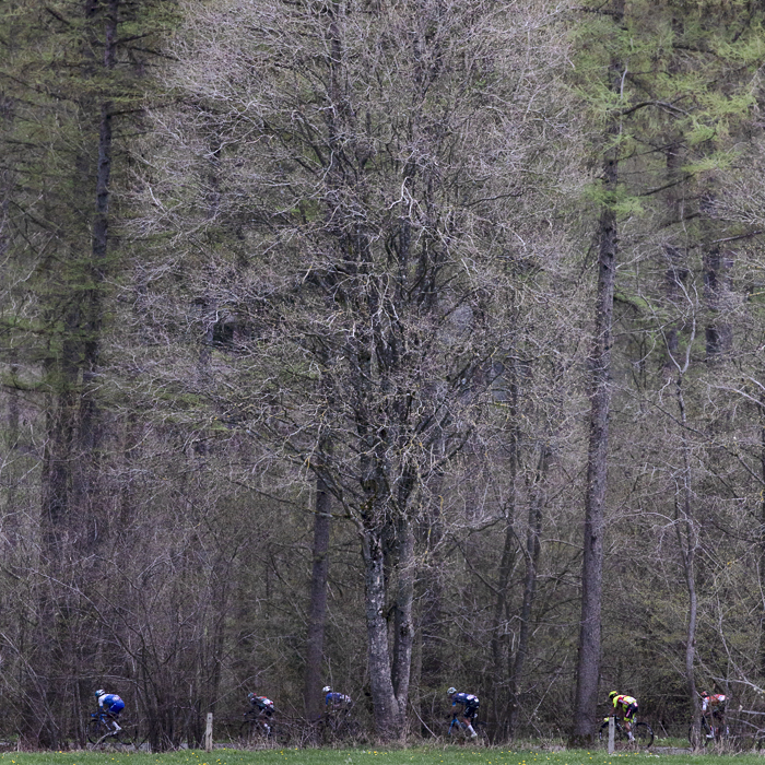 Liège-Bastogne-Liège 2023 - A group of riders pass by mature trees