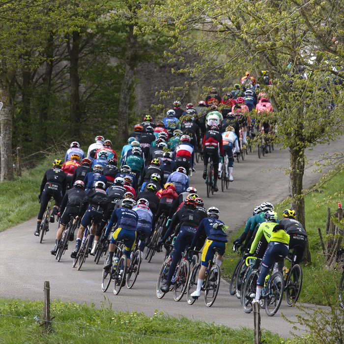Liège-Bastogne-Liège 2024 - Rear view of the riders seen through budding trees at Vaux