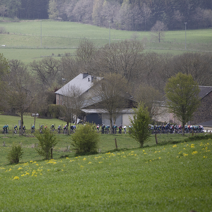 Liège-Bastogne-Liège 2024 - The race seen looking across fields studded with yellow flowers at Vaux