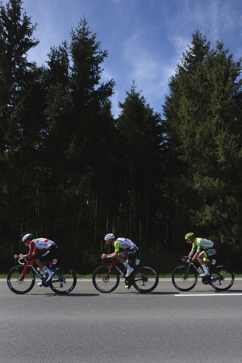 Liege Bastogne Liege 2025 - A line of riders against the dense conifer woodland at Baraque de Fraiture