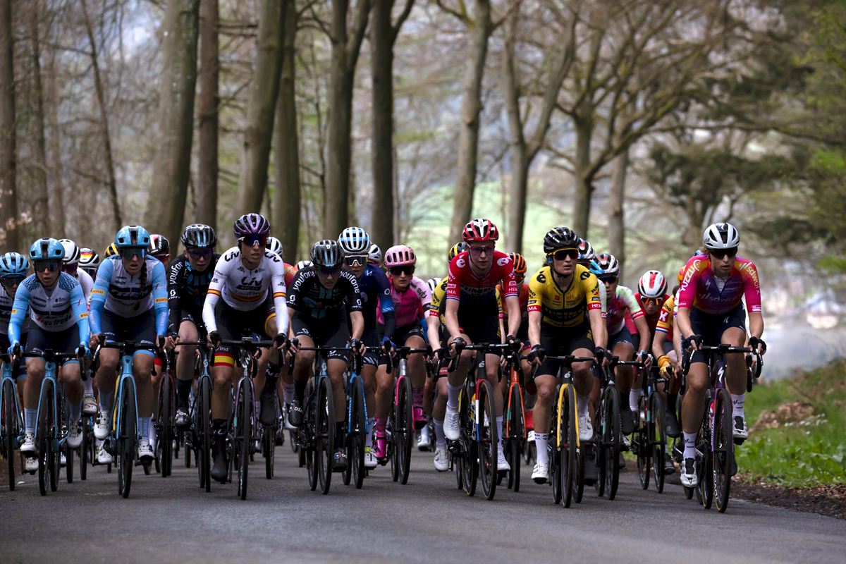 Liège-Bastogne-Liège Femmes 2023 - The peloton climbs through the woodland on the Faix du Diable up the Côte de Wanne