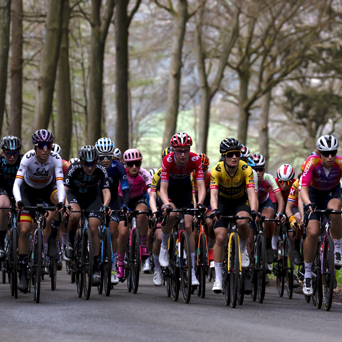 Liège-Bastogne-Liège Femmes 2023 - The peloton climbs through the woodland on the Faix du Diable up the Côte de Wanne