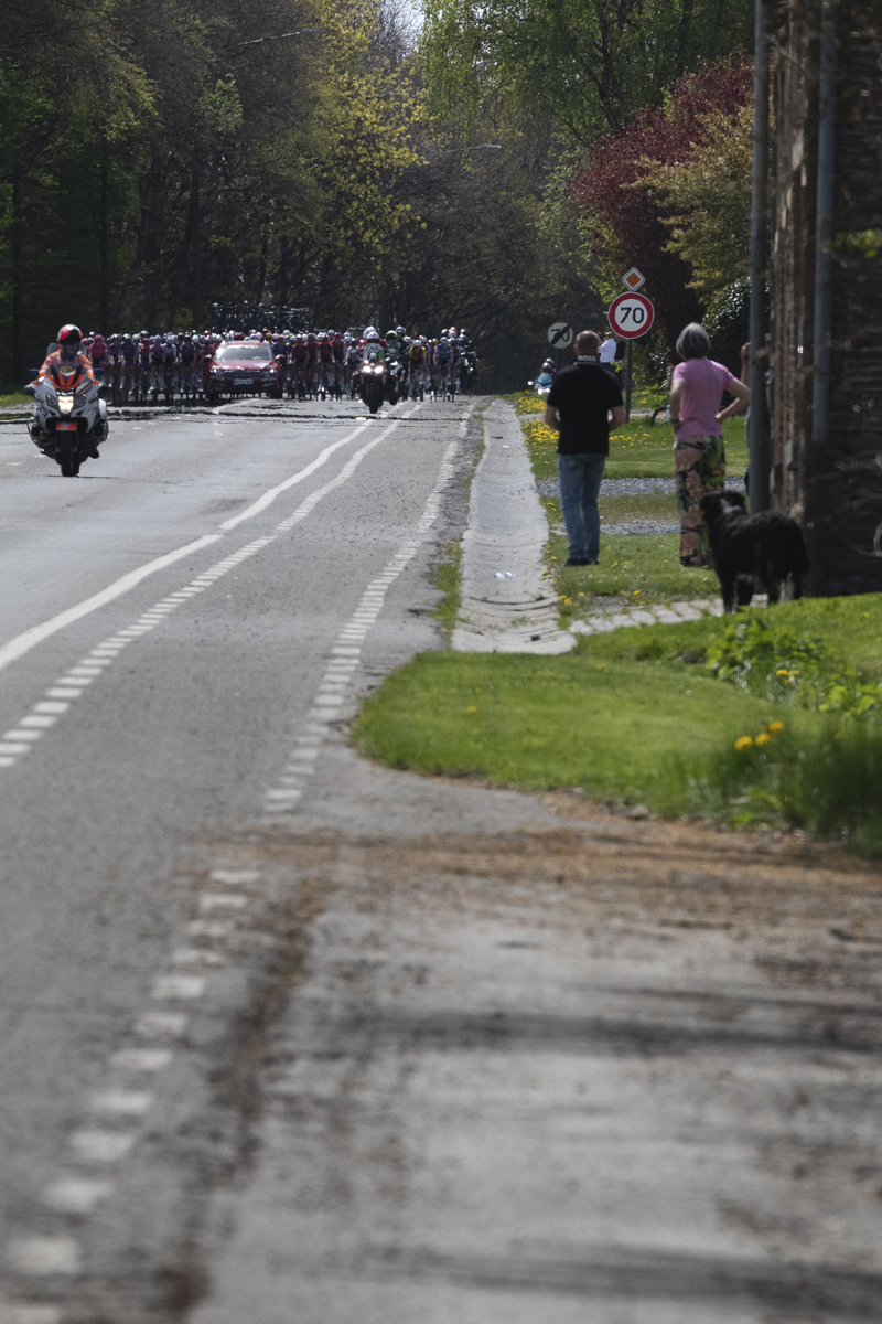 Liège Bastogne Liège Femmes 2025 - Spectators including a dog watch the peloton approach in Foy