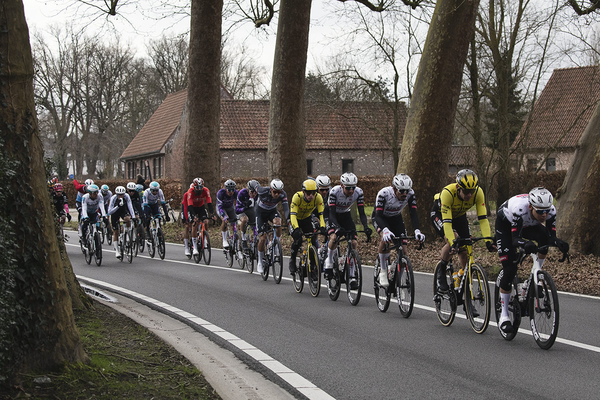 Omloop Nieuwsblad 2025 - A strung out peloton races down an avenue of trees 