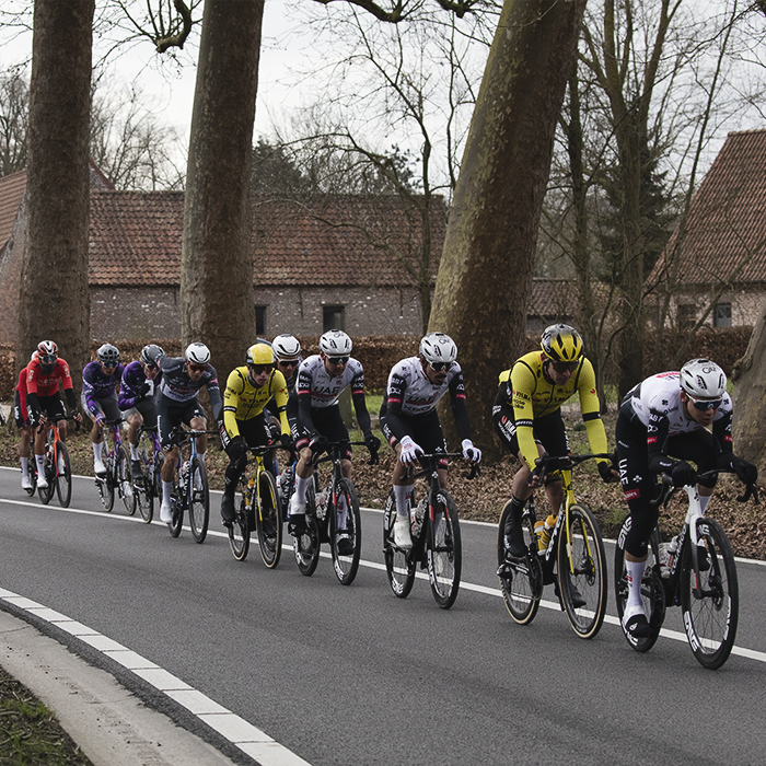 Omloop Nieuwsblad 2025 - A strung out peloton races down an avenue of trees