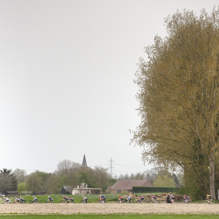 Paris Roubaix Femmes 2024 - Riders under huge trees with a church in the distance on the Cysoing à Bourghelles sector