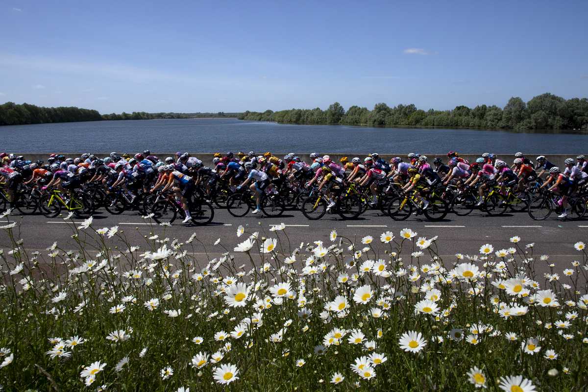 RideLondon Classique 2022 - The peloton rides over the dam at Abberton Reservoir with daisies in the foreground