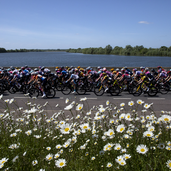 RideLondon Classique 2022 - The peloton rides over the dam at Abberton Reservoir with daisies in the foreground