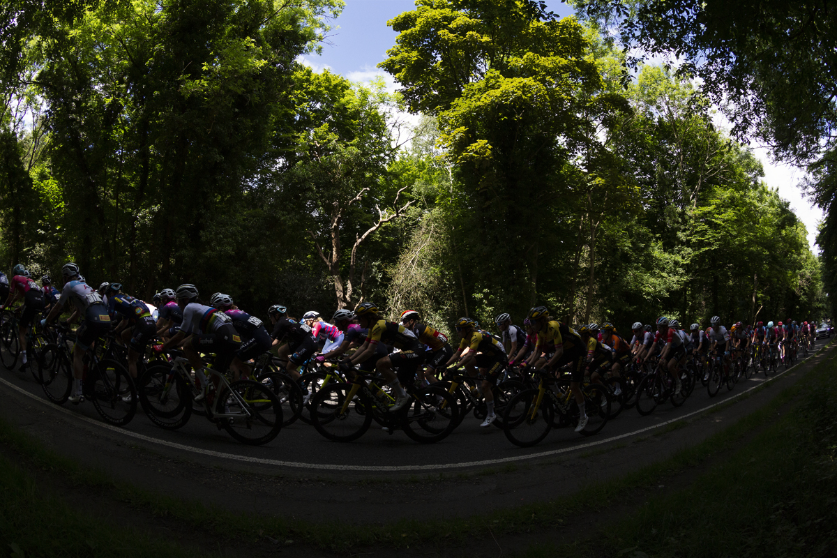 RideLondon Classique 2022 - Side of view of the peloton in Epping Forest as bright sunlight breaks through the trees highlighting one rider