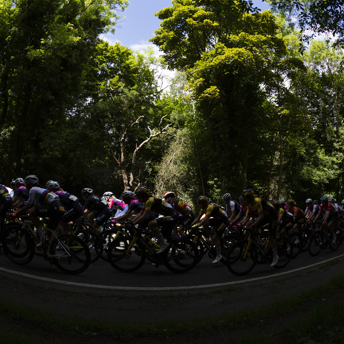 RideLondon Classique 2022 - Side of view of the peloton in Epping Forest as bright sunlight breaks through the trees highlighting one rider