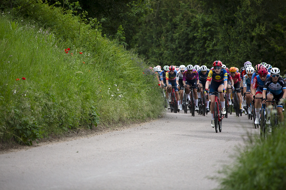 RideLondon Classique 2024 - The peloton rounds the corner past a high verge