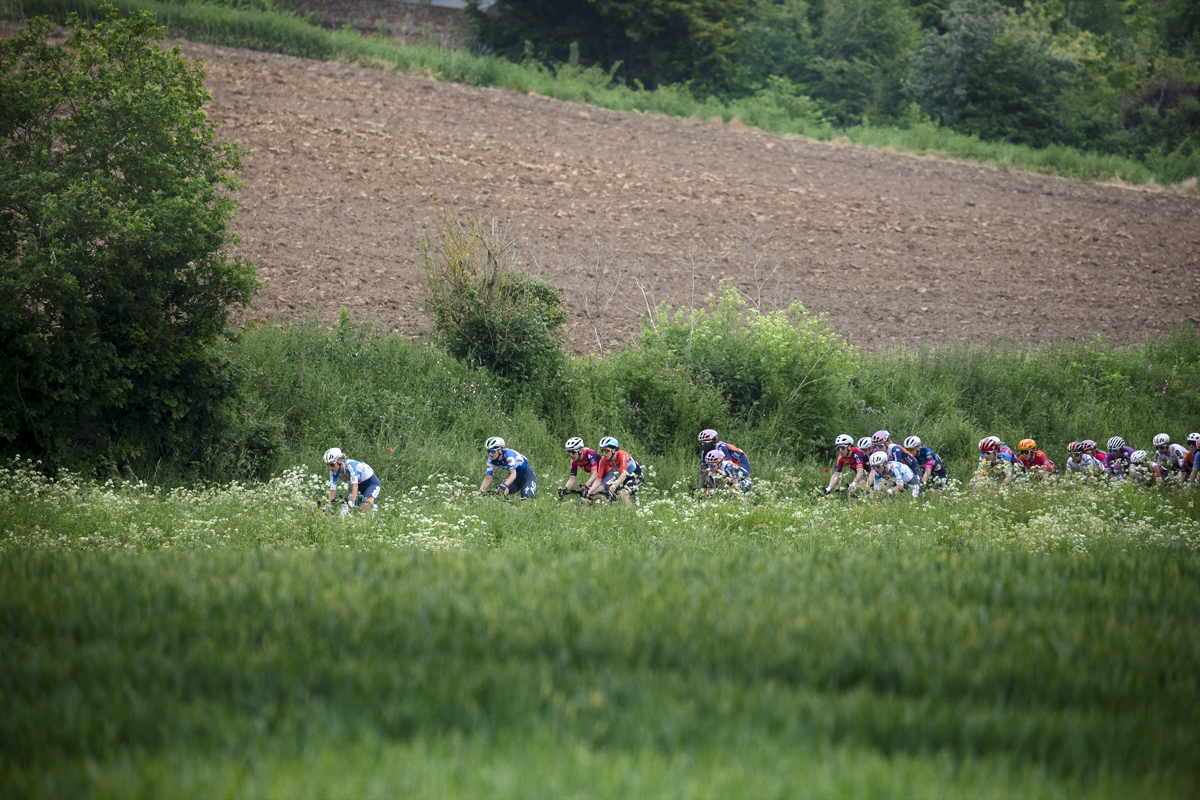 RideLondon Classique 2024 - A view across a field as the peloton rides on a road sunken into the English countryside