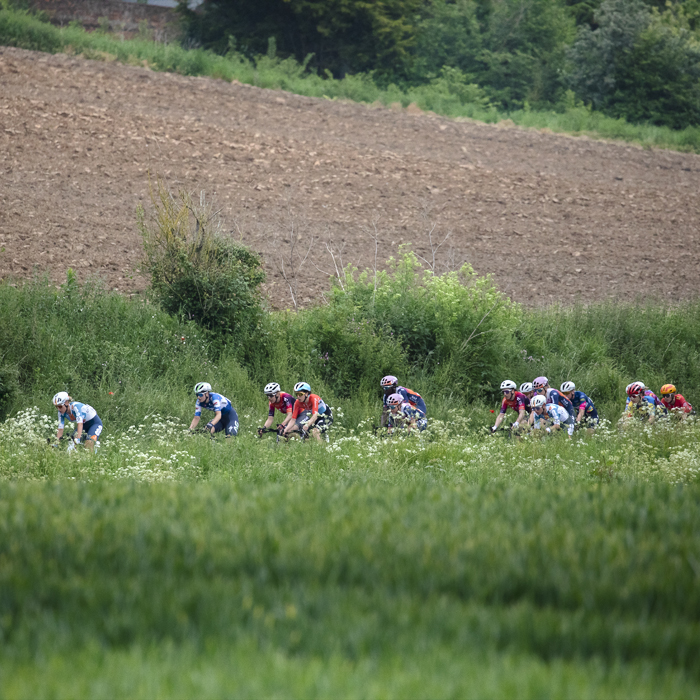 RideLondon Classique 2024 - A view across a field as the peloton rides on a road sunken into the English countryside