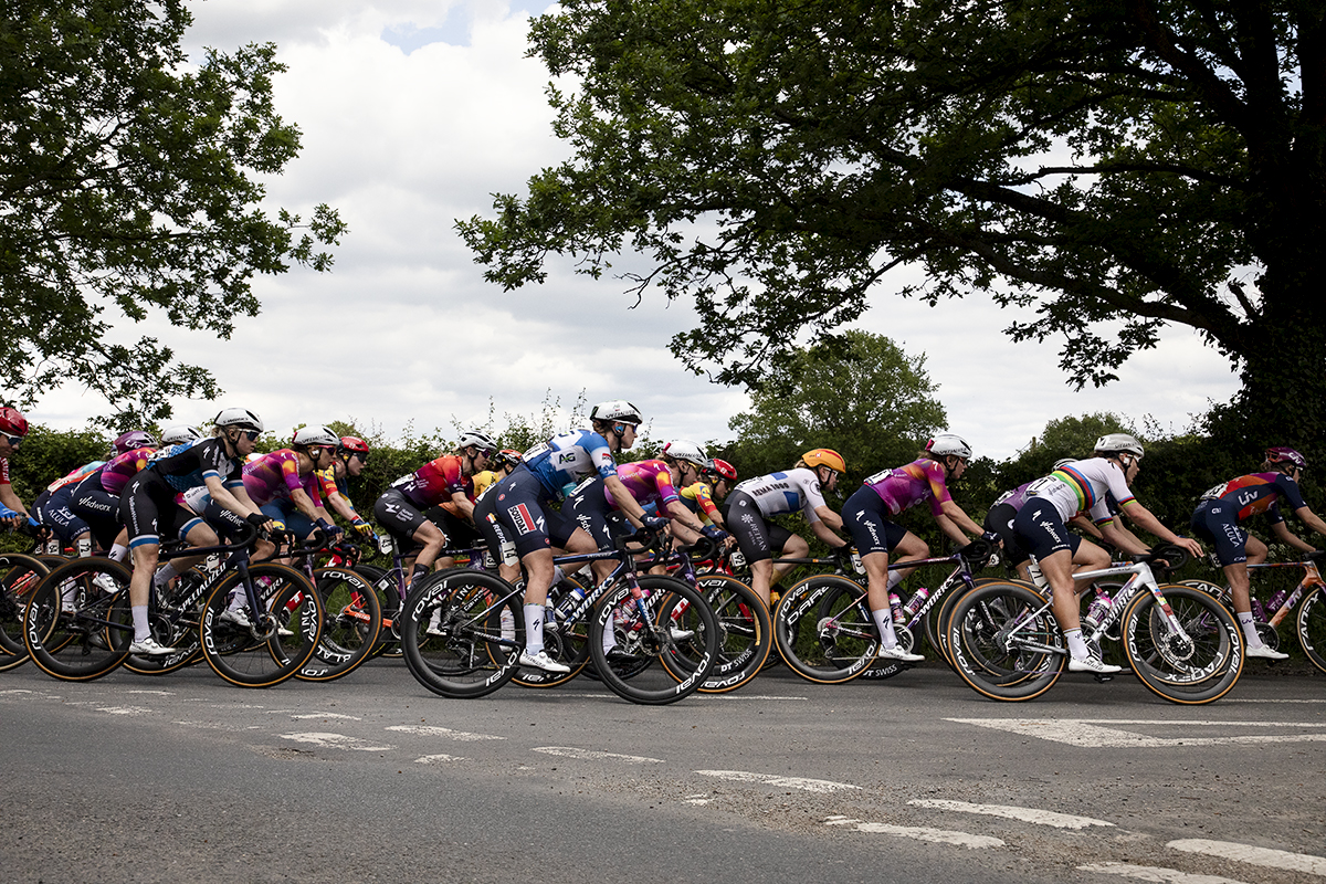 RideLondon Classique 2024 - The peloton takes a tree lined corner in the Essex countryside