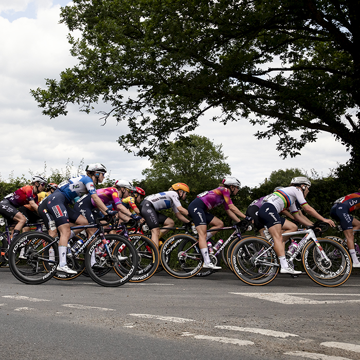 RideLondon Classique 2024 - The peloton takes a tree lined corner in the Essex countryside