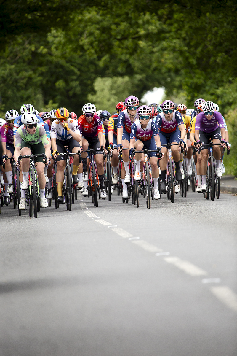 RideLondon Classique 2024 - The peloton on a tree lined road in West Bergholt, Essex