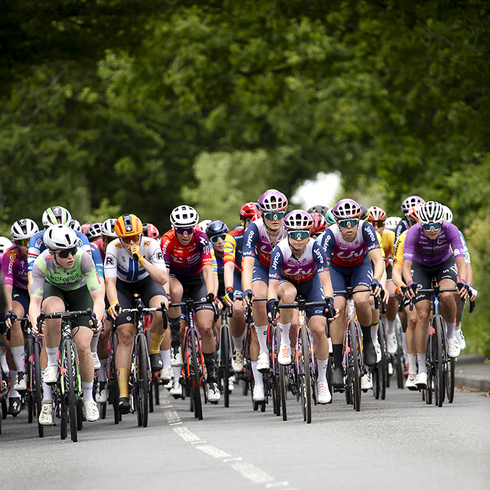 RideLondon Classique 2024 - The peloton on a tree lined road in West Bergholt, Essex