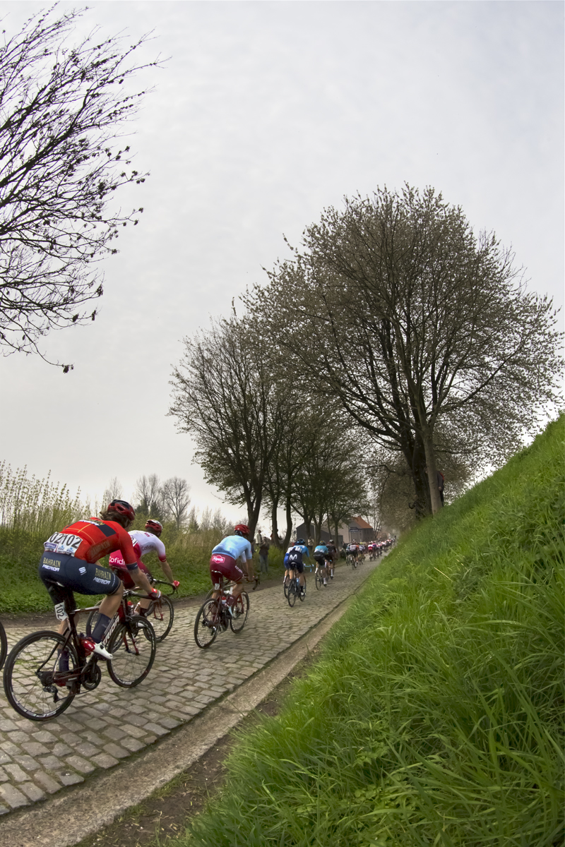 Tour of Flanders 2019 - Rear view of the peloton on Paddestraat