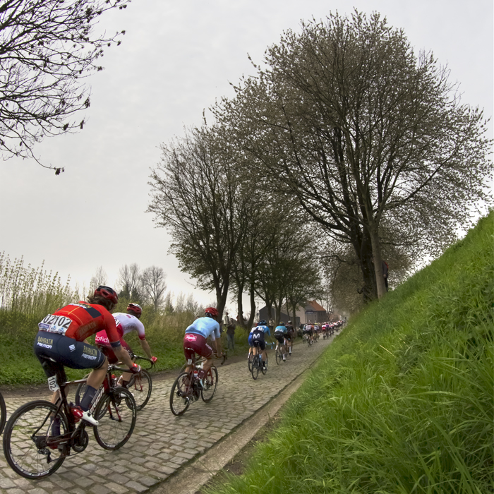 Tour of Flanders 2019 - Rear view of the peloton on Paddestraat