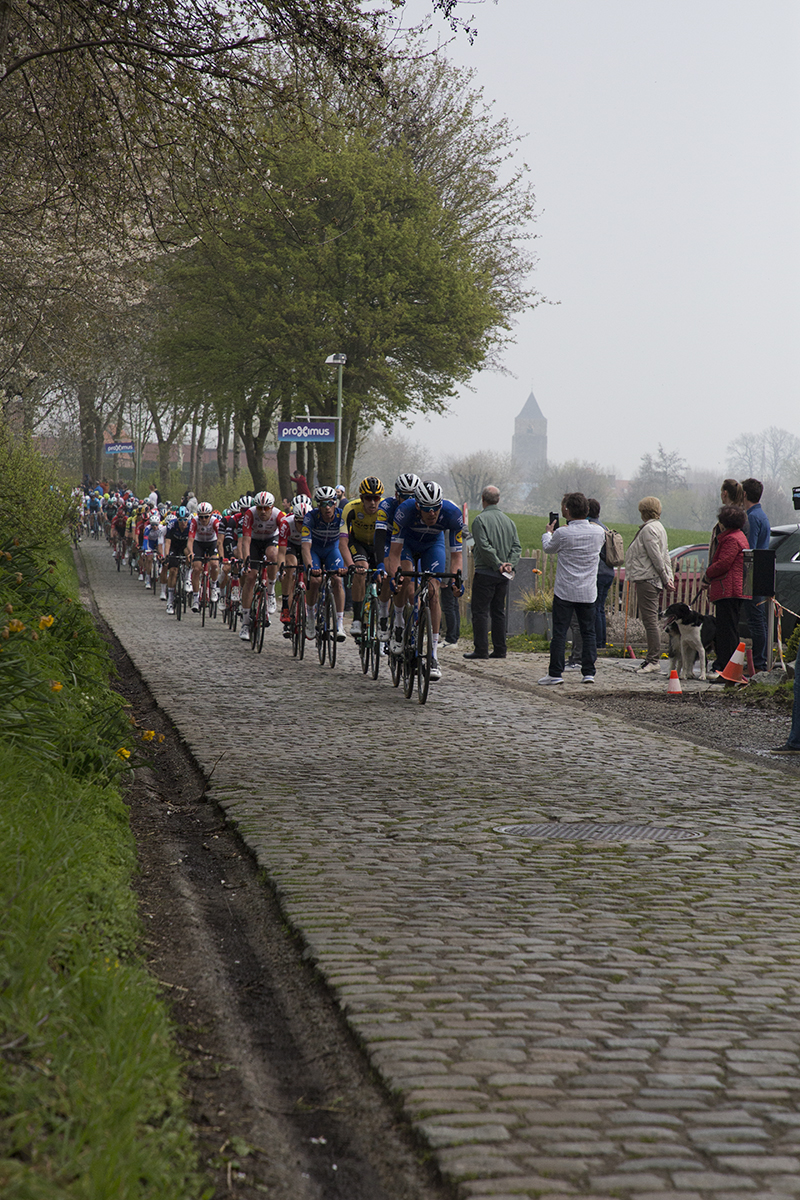 Tour of Flanders 2019 - The peloton moves down Paddestraat with a church in the distance