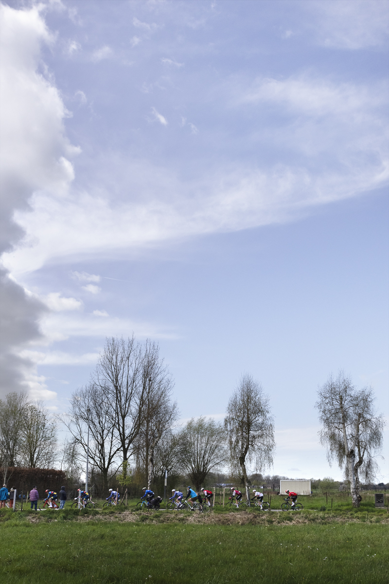 Ronde van Vlaanderen 2024 - Riders race past mature trees seen over the fields in Haaltert