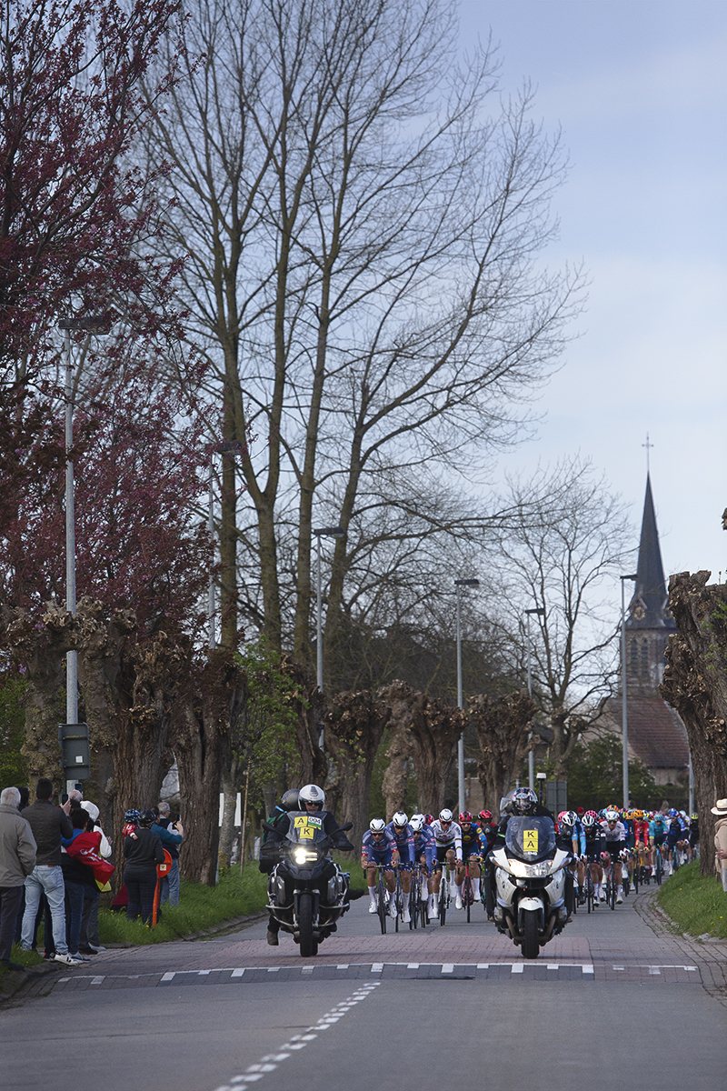 Ronde van Vlaanderen 2024 - Riders approach down an avenue of coppiced trees a church in the distance in Haaltert