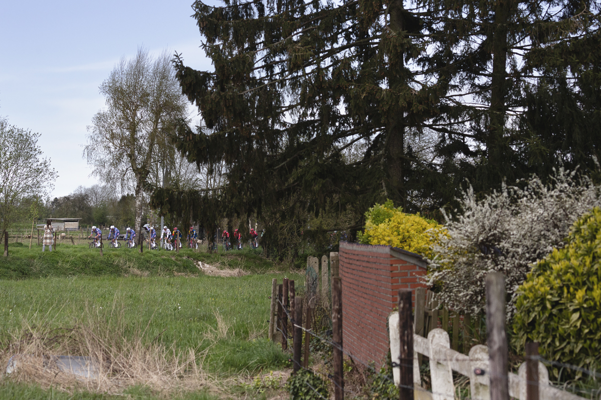 Ronde van Vlaanderen 2024 - Riders seen across the fields in Haaltert
