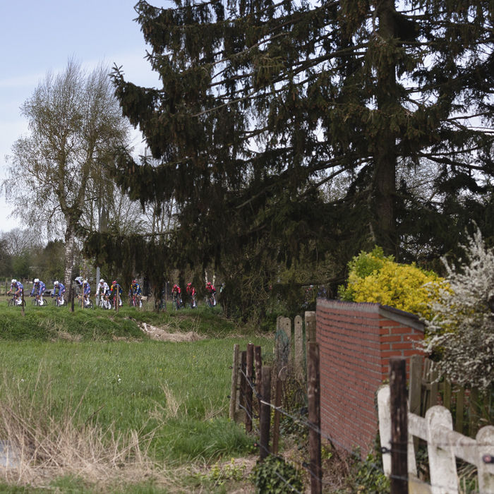 Ronde van Vlaanderen 2024 - Riders seen across the fields in Haaltert