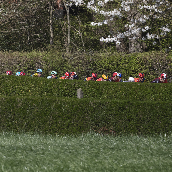 Ronde van Vlaanderen 2025 - Riders can be seen over a hedge in Schorisse