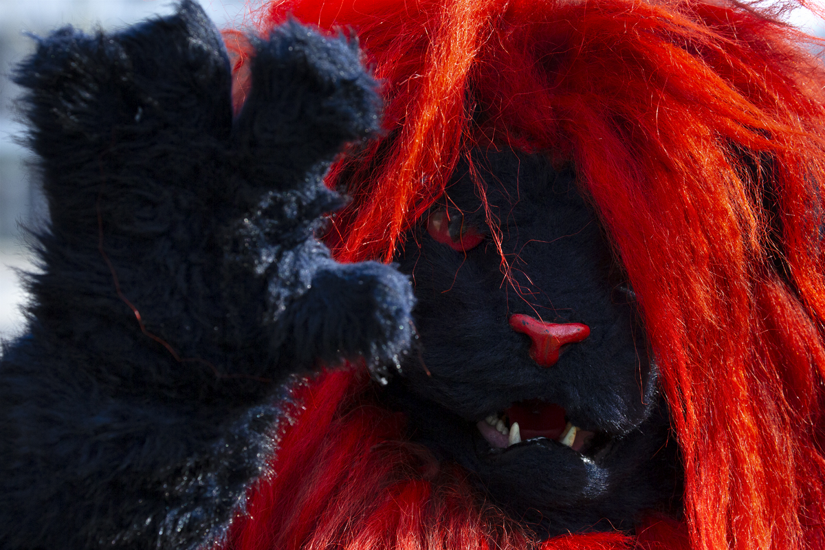 Scheldeprijs 2023 - A fan dressed as the Lion of Flanders