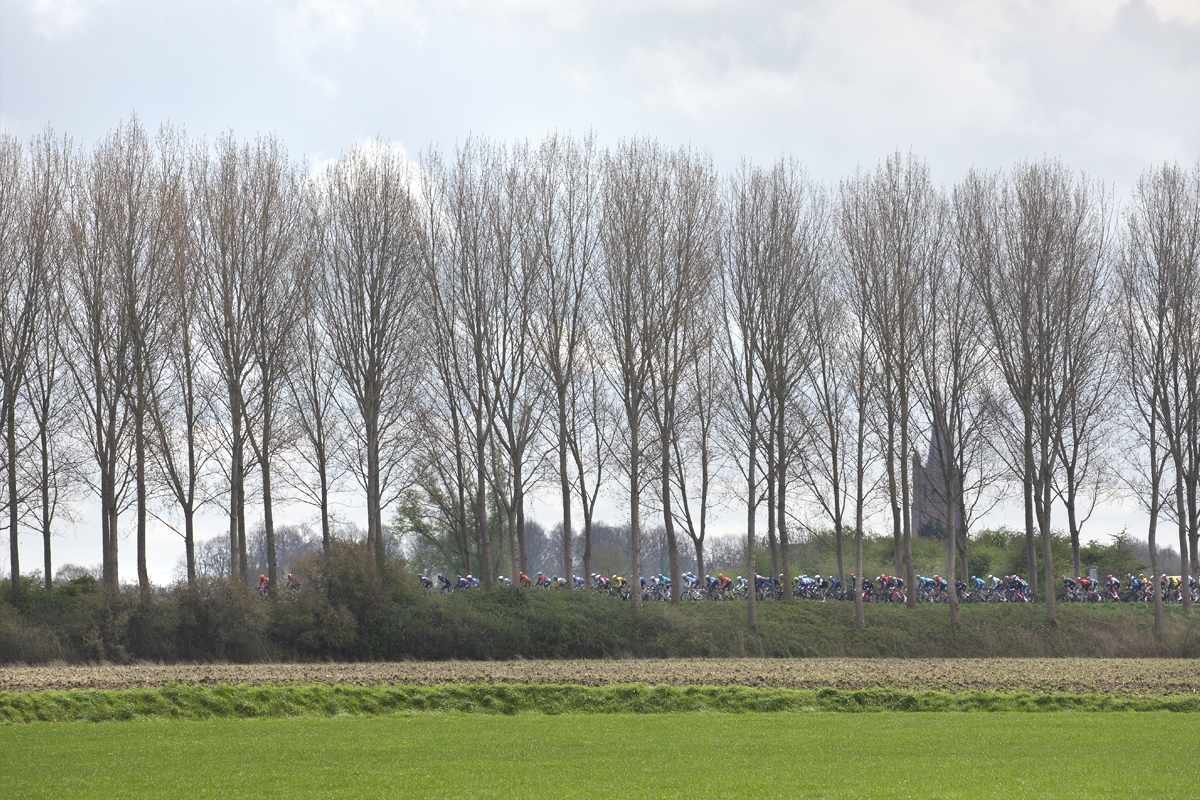 Scheldeprijs 2024 - Riders seen through the trees on a bank top near Heinkenszand